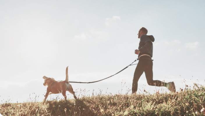 Homem de moletom, corre com seu cachorro grande em um dia ensolarado no campo.