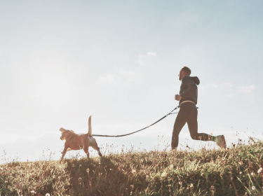 Homem de moletom, corre com seu cachorro grande em um dia ensolarado no campo.